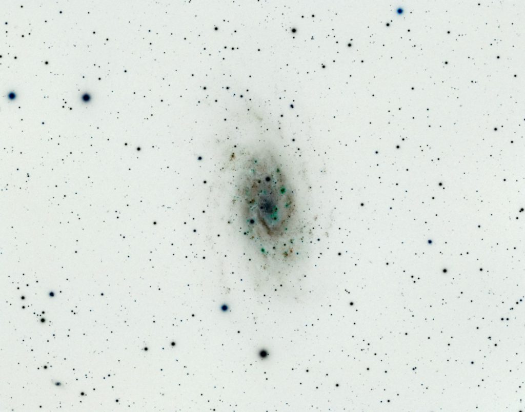 NGC 2403 inverted