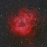 Rosette Nebula