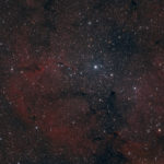 The Elephant Trunk Nebula