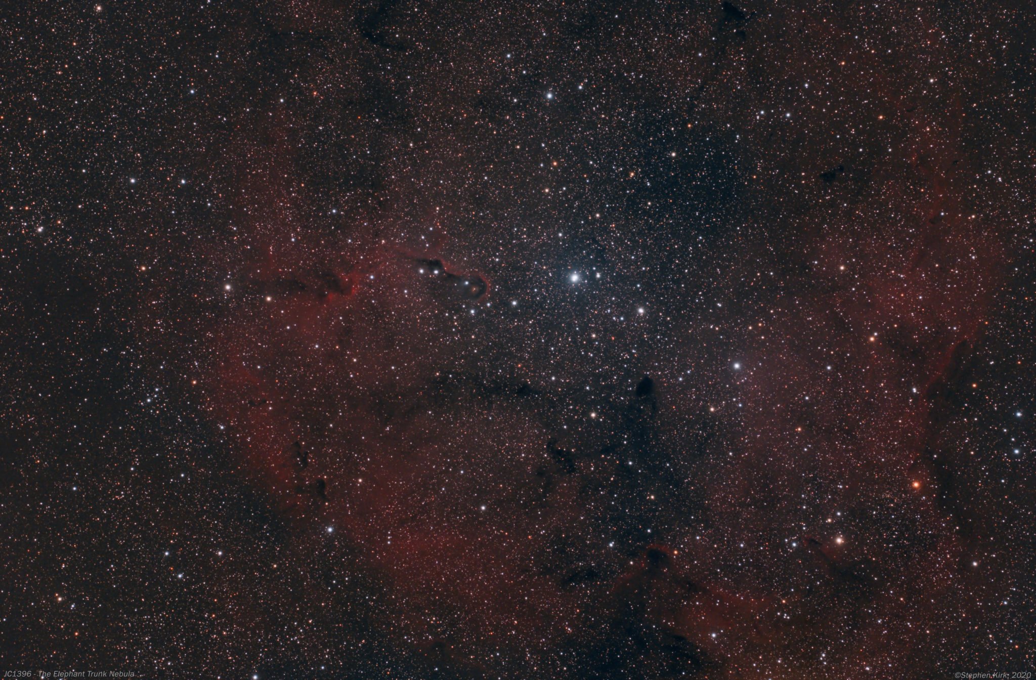 The Elephant Trunk Nebula