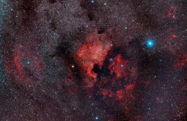 North American Nebula in a wide field with Samyang 135mm and QHY268C camera NAN_QHY268C_Samyang135mm