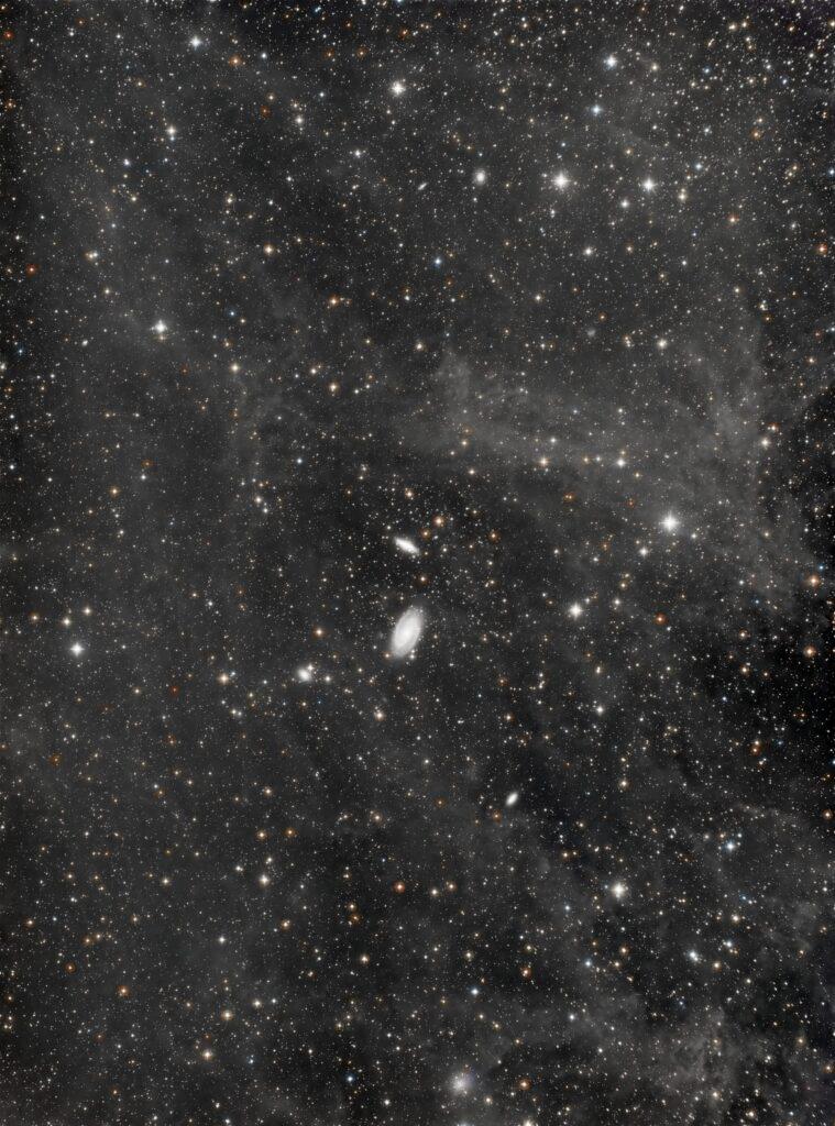 M81 Very Wide Field